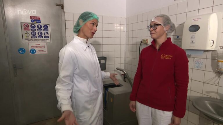 Snídaně s Novou – Profese na vlastní kůži v DZ Klatovy